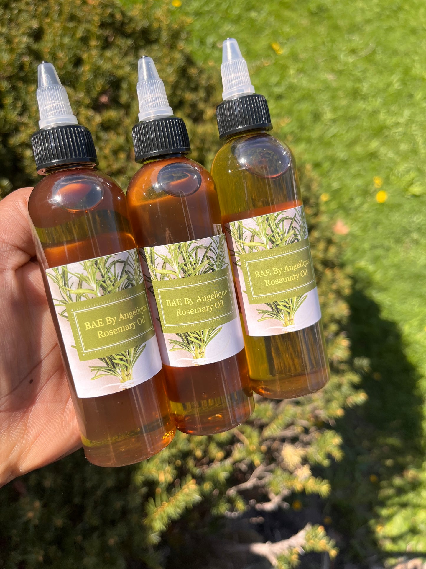 Rosemary Oil